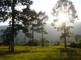 http://www.thaigoodview.com/library/contest2551/science03/09/2/ecosystem/html/topic05_3.html