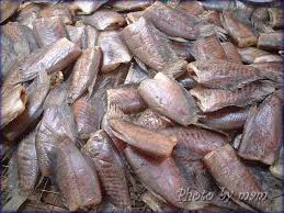 http://www.rakbankerd.com/agriculture/open.php?id=616&s=tblanimal http://www.rakbankerd.com/agriculture/open.php?id=616&s=tblanimal