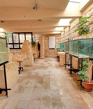 ภูเขา Nebo