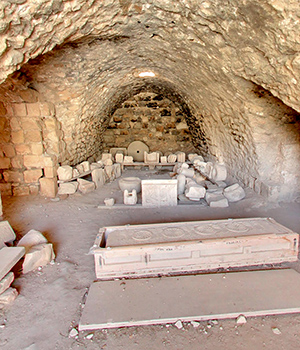 ปราสาท Shobak