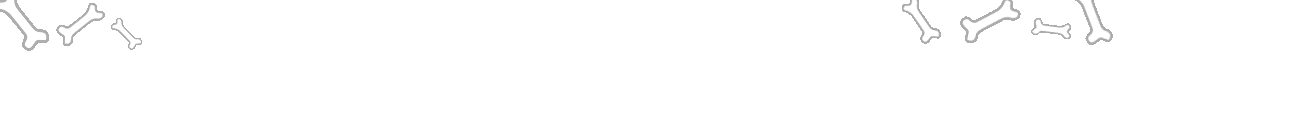 การค้นพบซากไดโนเสาร์ขนาดใหญ่ที่สุดในประเทศไทย